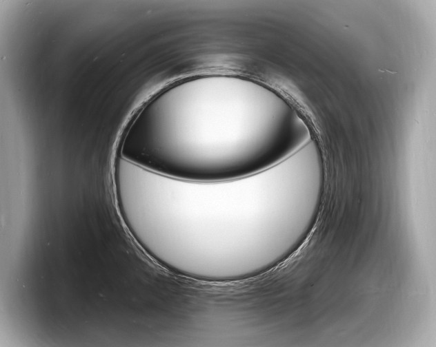 X0000098231192200804241155
