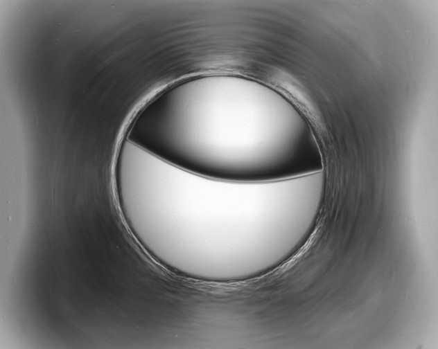 X0000098231196200804241155