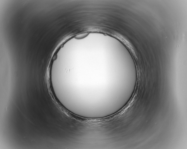 X0000098231198200804241155