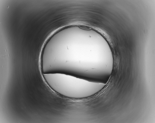 X0000098231199200804241155