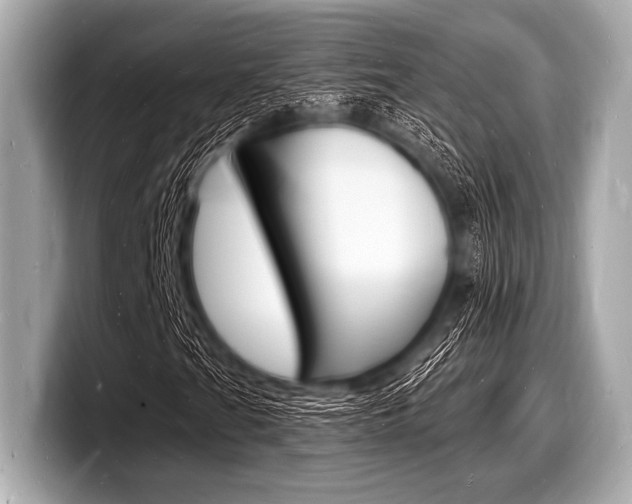 X0000098231201200804241154