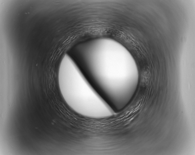 X0000098231202200804241154