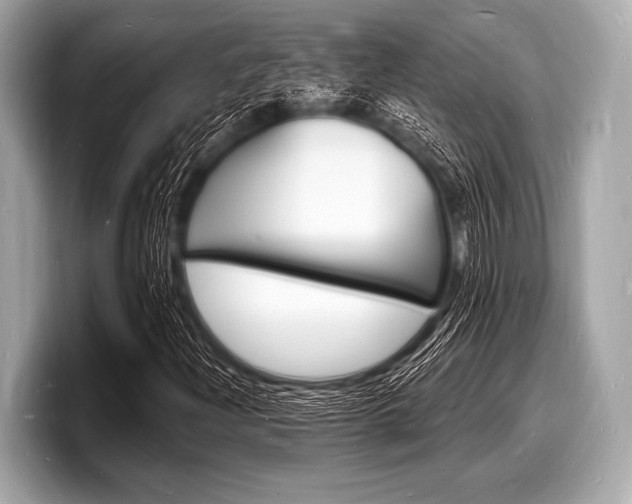 X0000098231204200804241154