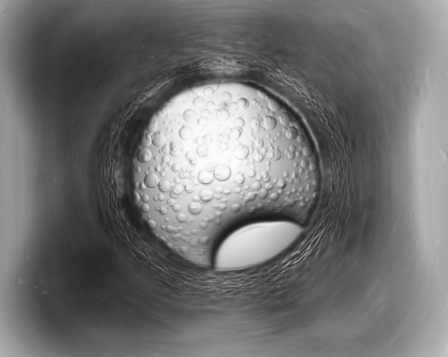 X0000098231205200804241154