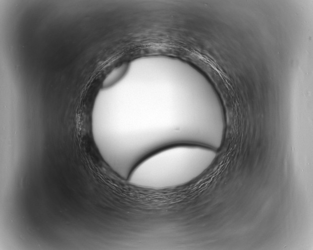 X0000098231207200804241154