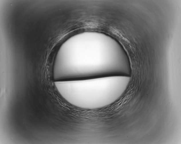 X0000098231208200804241154