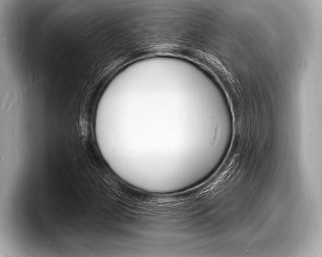 X0000098231209200804241154