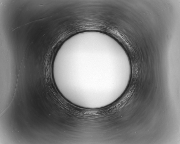 X0000098231211200804241154