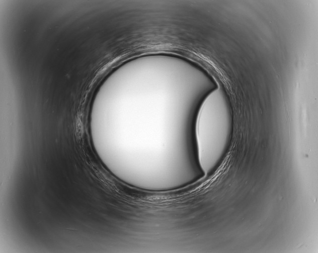 X0000098231212200804241154