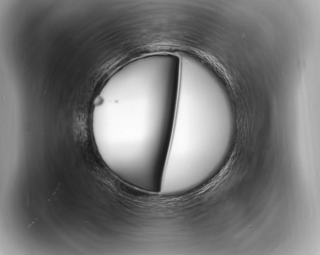 X0000098231217200804241154
