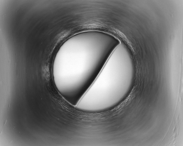 X0000098231218200804241154
