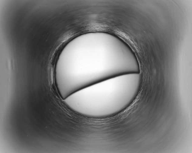 X0000098231219200804241154