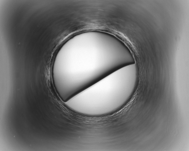 X0000098231220200804241154