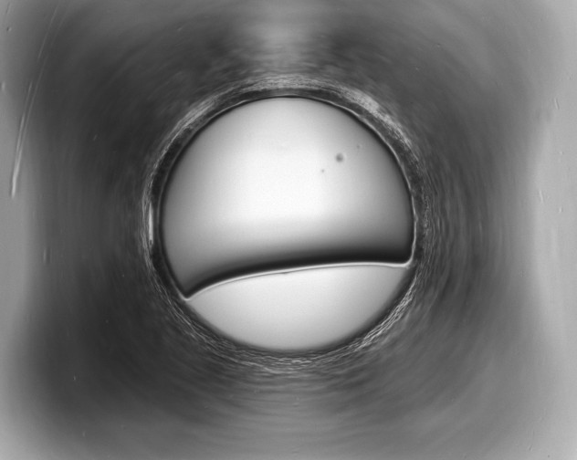X0000098231221200804241154