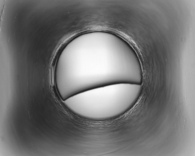 X0000098231223200804241154