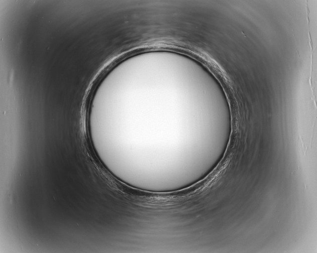 X0000098231224200804241154