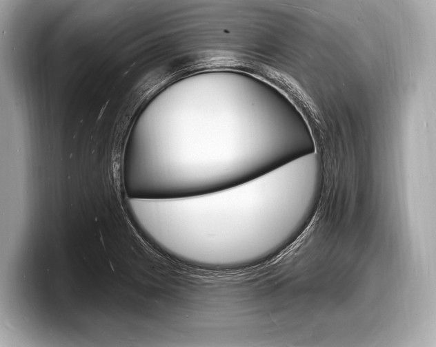 X0000098231225200804241154