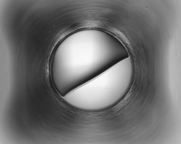 X0000098231226200804241154