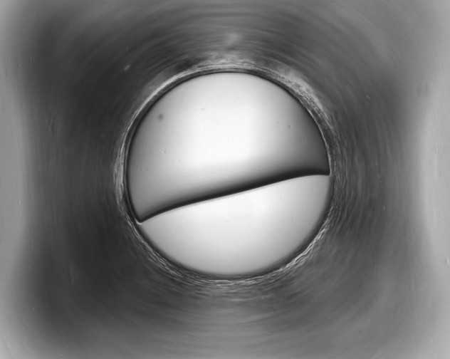 X0000098231228200804241154