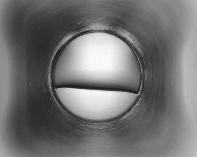 X0000098231229200804241154