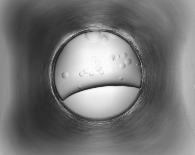 X0000098231231200804241154