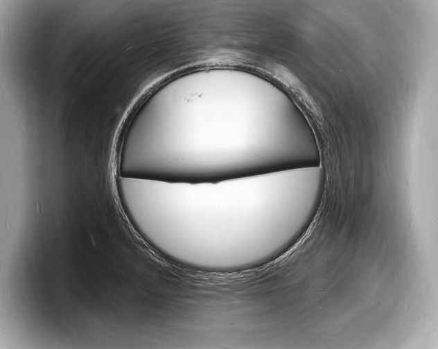 X0000098231232200804241154
