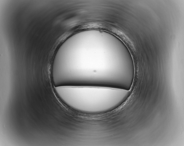 X0000098231233200804241154