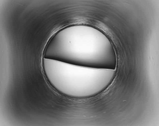 X0000098231234200804241154