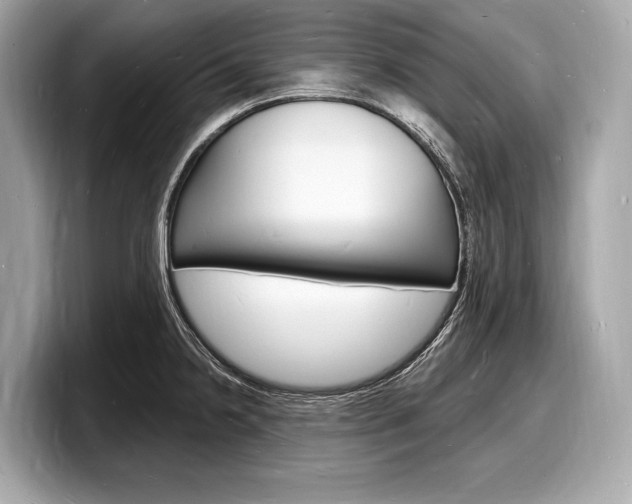 X0000098231238200804241155