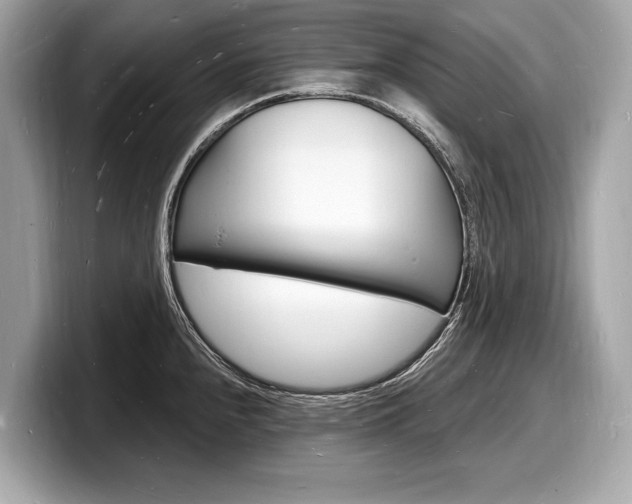 X0000098231240200804241155