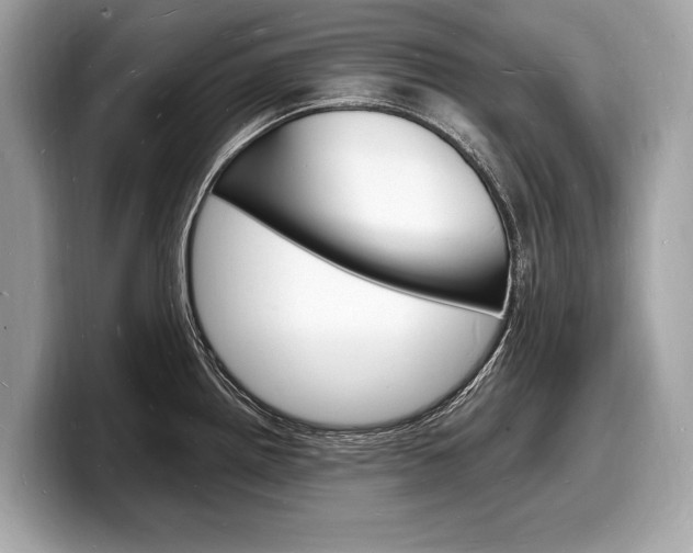 X0000098231242200804241155