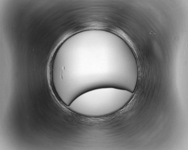 X0000098231243200804241155