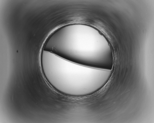 X0000098231246200804241155