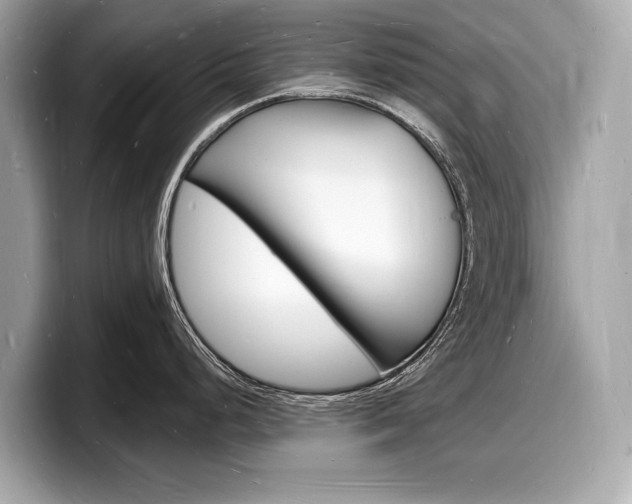X0000098231248200804241155