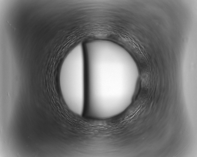 X0000098231249200804241154
