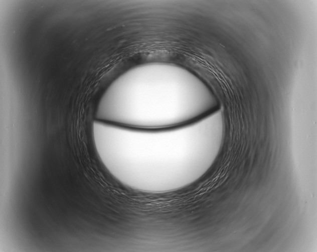 X0000098231250200804241154