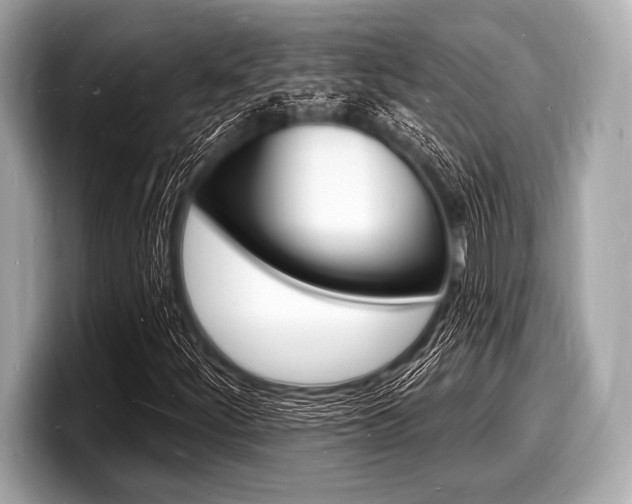 X0000098231252200804241154