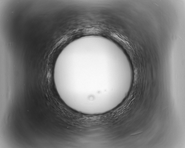 X0000098231254200804241154