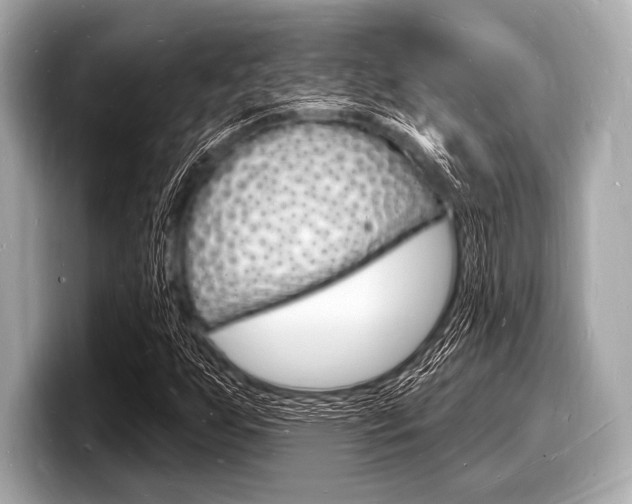 X0000098231255200804241154