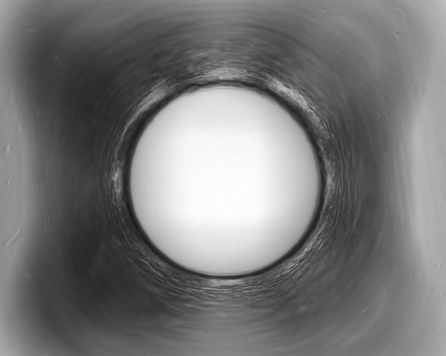 X0000098231258200804241154