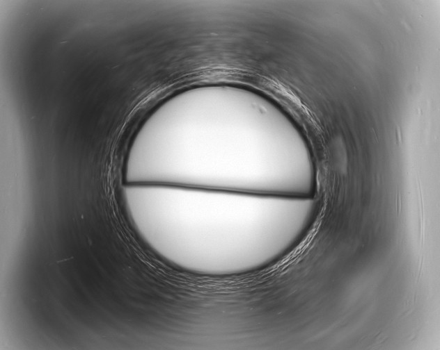 X0000098231259200804241154