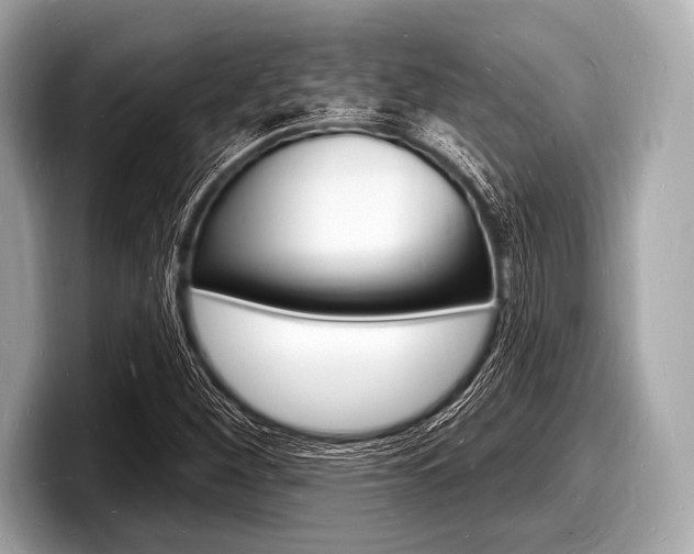X0000098231260200804241154