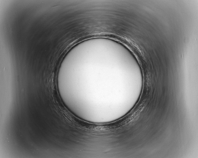 X0000098231265200804241154