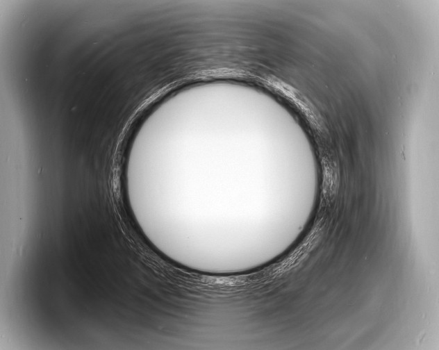 X0000098231266200804241154