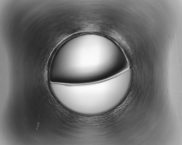 X0000098231268200804241154