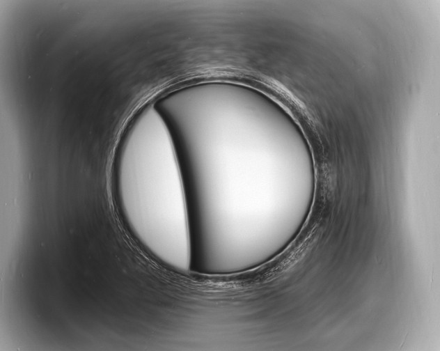 X0000098231269200804241154
