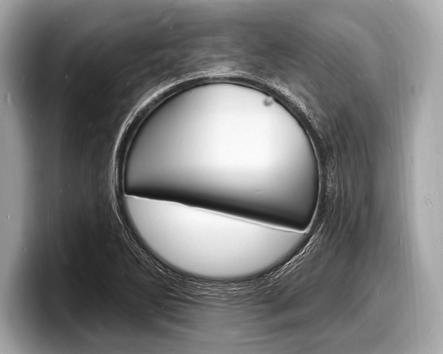 X0000098231270200804241154