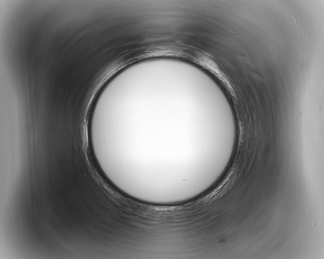 X0000098231274200804241154