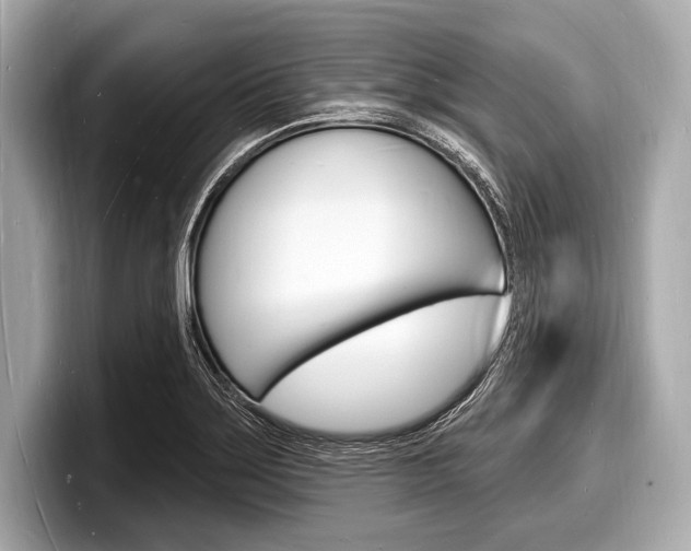X0000098231275200804241154