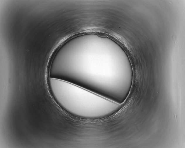 X0000098231277200804241154